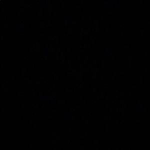 Meet your Posher, Carmen